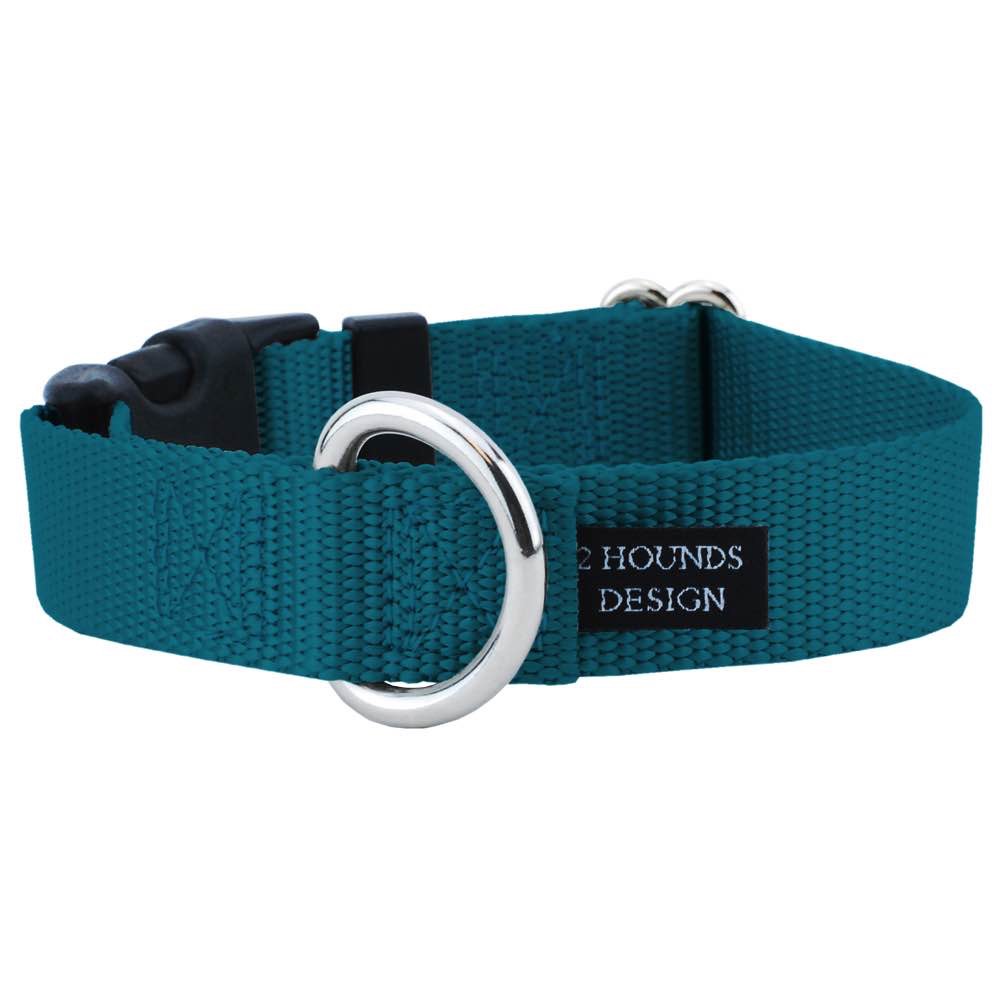 Teal dog outlet collars